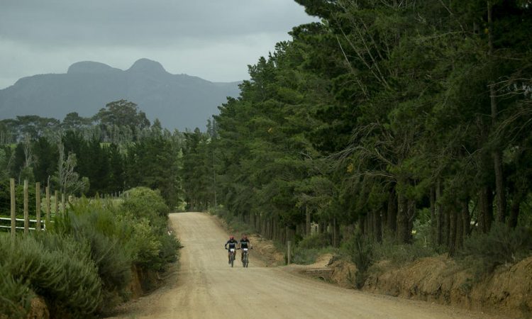 Čez mesec dni na Koroško prihajajo najboljši gorski kolesarji serije enduro