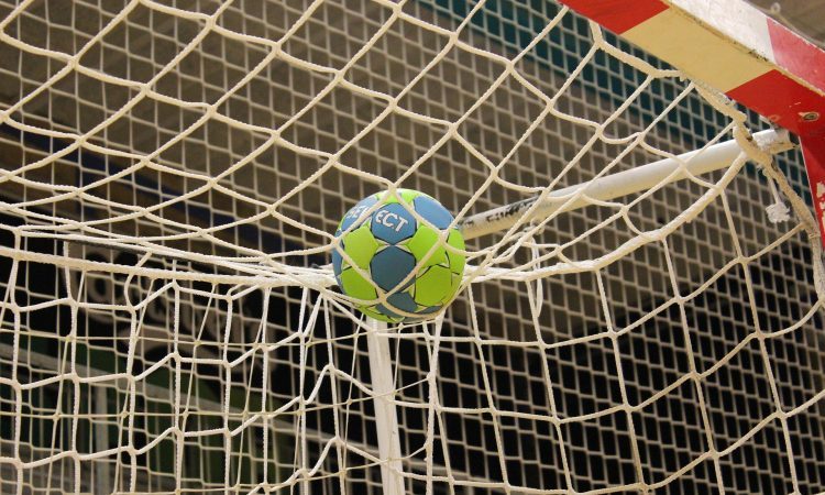 Celje Pivovarna Laško - Slovenj Gradec 29:23