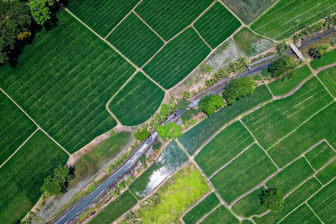 Maljevac v Ajdovščini in Novi Gorici o urejanju stanovanjskega področja