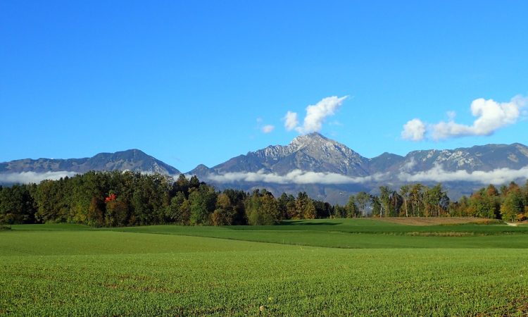 Kranjski mestni svetniki potrdili rebalans letošnjega proračuna