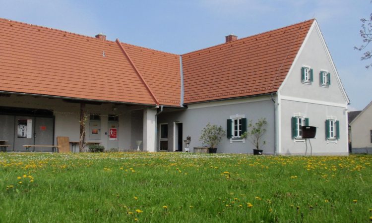 V Pavlovi hiši razstava Pogled od zgoraj 
