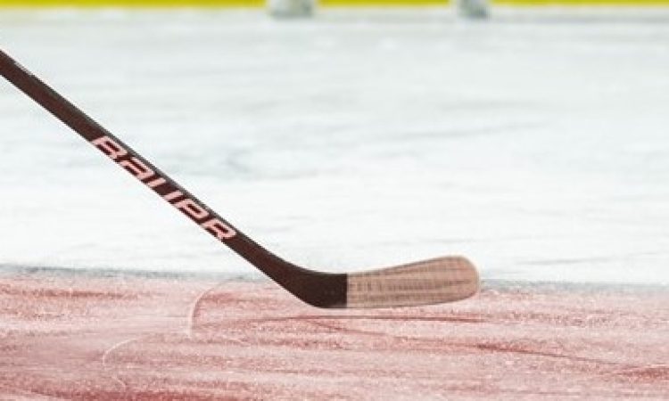 Kopitar in kralji z zmago sklenili redni del sezone