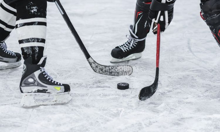 Kopitarjevi kralji boljši tudi od Columbusa