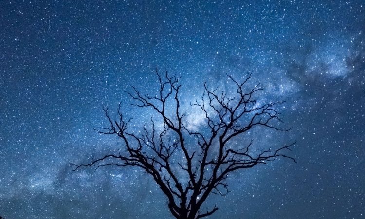 To so astrološka znamenja, ki naravno privabljajo bogastvo