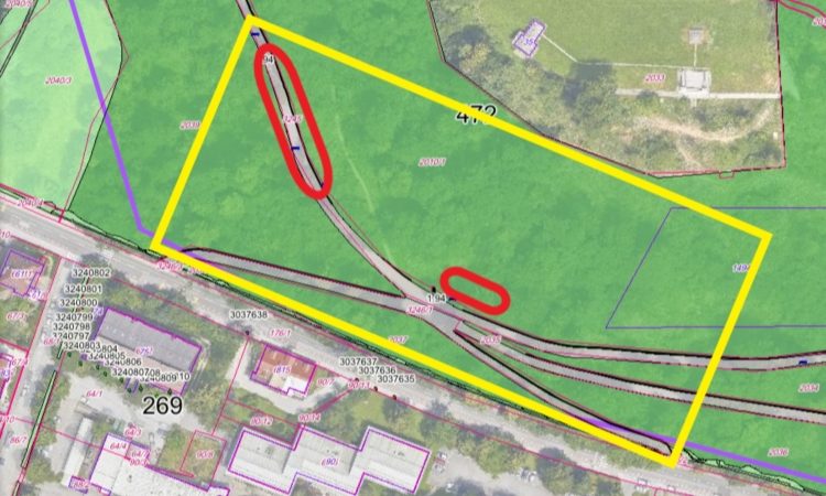 V Ljubljani nujna sanacija dreves ob Cesti 27. aprila