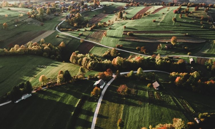Novo mesto razpisalo sredstva za razvoj kmetijstva in podeželja