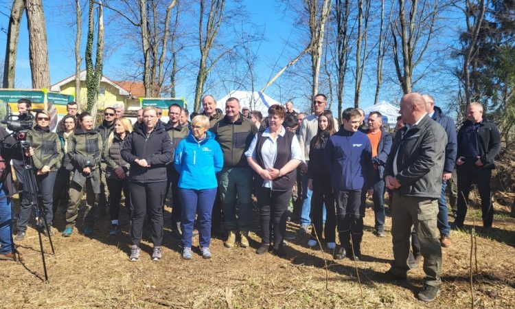 Mednarodni dan gozdov v Apačah v znamenju obnove in sajenja medovitih dreves