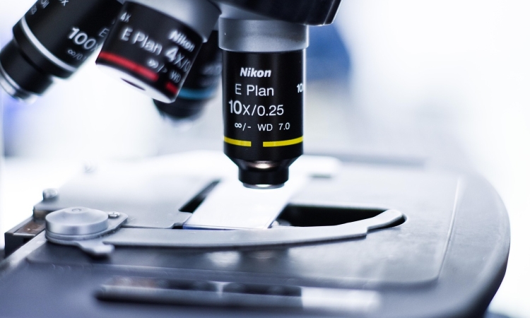 ZDA razvile krvni test za odkrivanje HPV raka tudi deset let pred simptomi